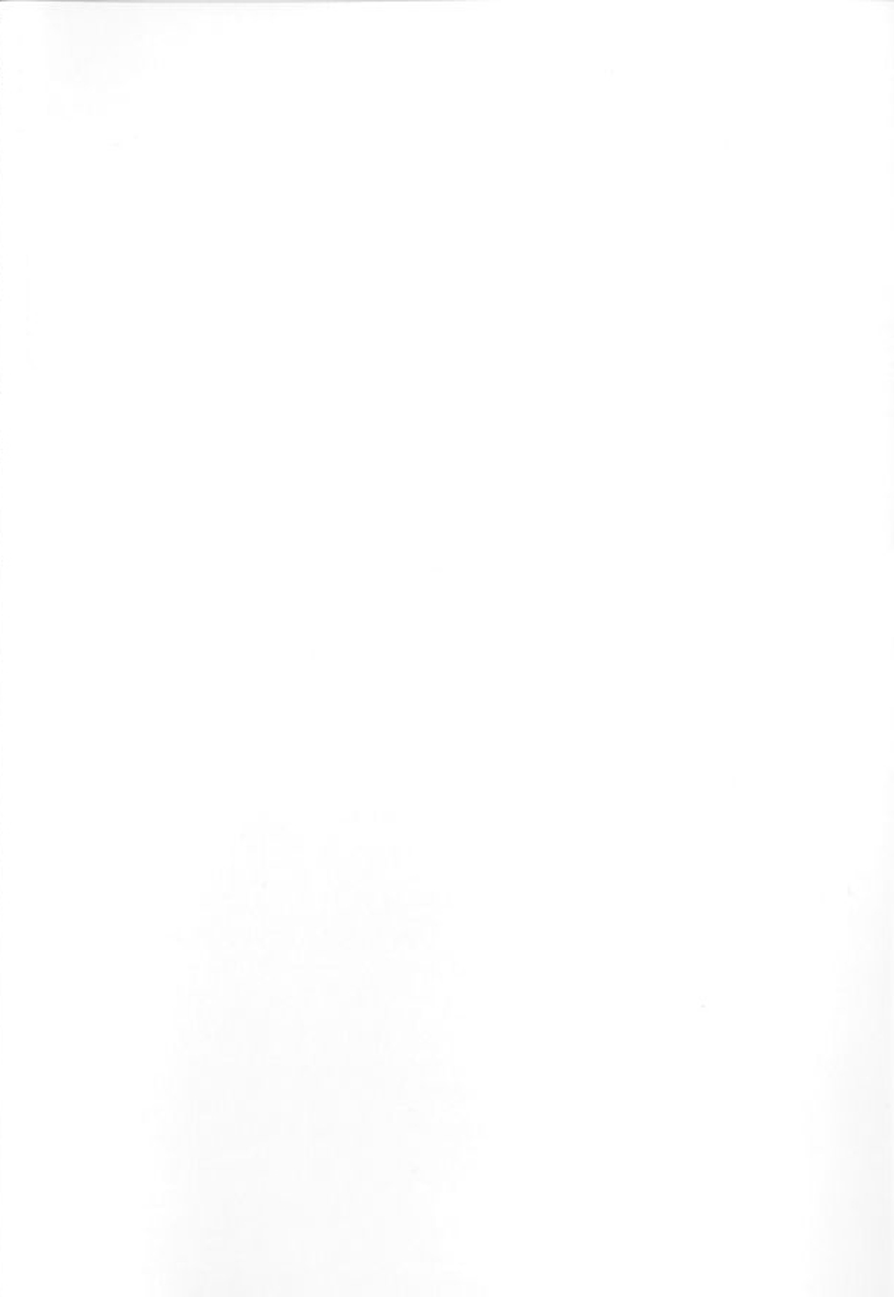 (C89) [INSERT (KEN)] STR ~Shiboritorare~ 26-sai Hitozuma Onna no Kane ni Mamireta Inbai Seikatsu [German] (C89) [INSERT (KEN)] STR～搾り取られ～ 26歳人妻女の金にまみれた淫売性活 [ドイツ翻訳]