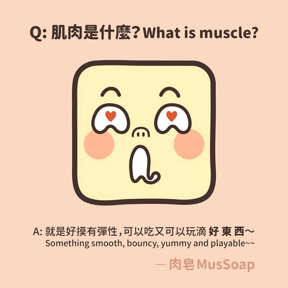MusSoap [On Going] 肉皂