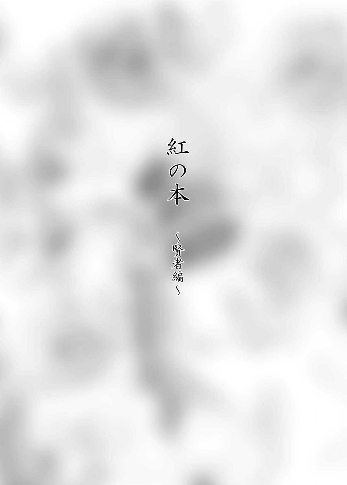 [Kurodama-ya] VI no Hon ~ Omake Tuki ~ (Dragon Quest VI) [黒玉屋] VIの本 ～おまけ付き～ (ドラゴンクエスト6)