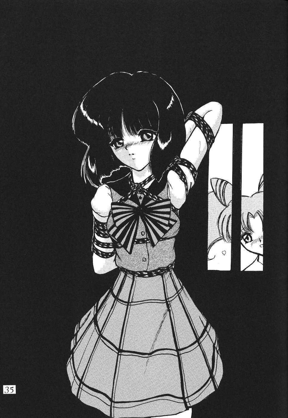 Saateiseibaazutoriito 2D Shooting - Silent Saturn 12 (Sailor Moon) 