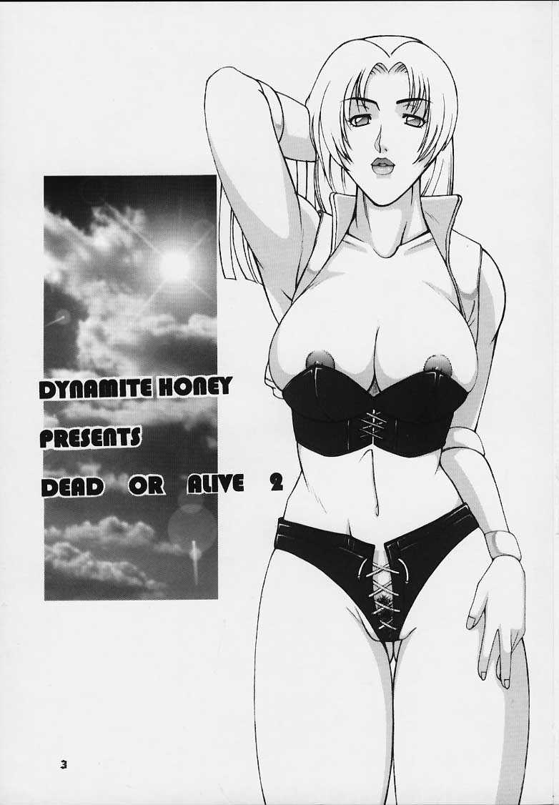 (C58) [Dynamite Honey (Gaigaitai)] Dynamite 6 DEAD OR ALIVE 2 (Dead or Alive) [ダイナマイトハニー (街凱太)] Dynamite 6 DEAD OR ALIVE 2 (デッド・オア・アライヴ)