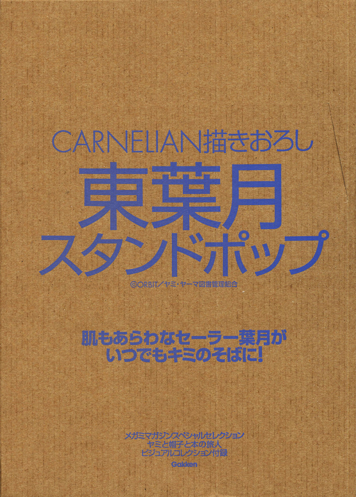[Carnelian] Yami to Boushi to Hon no Tabibito Visual Collection 